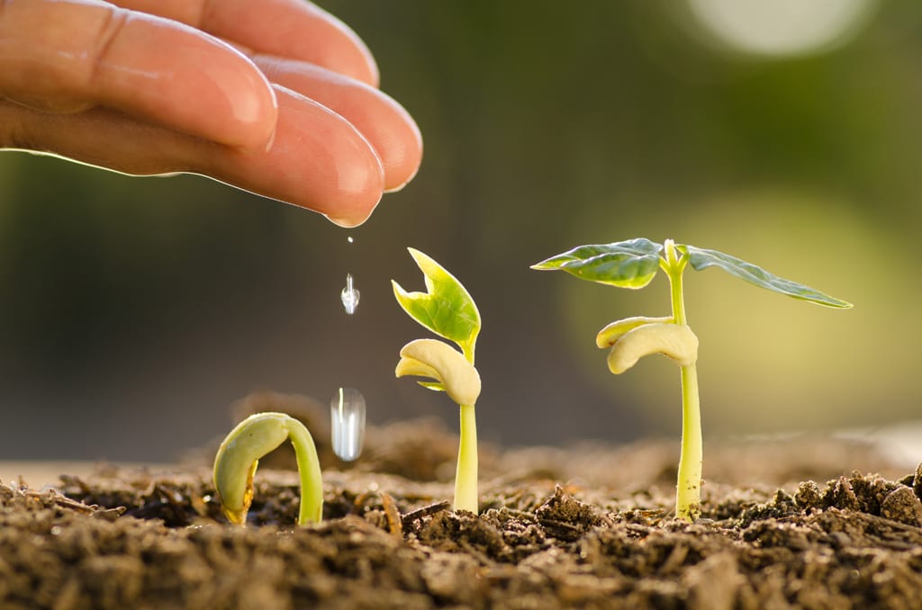 EMBRACING A GROWTH MINDSET